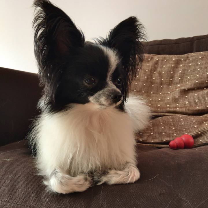 B7c9a7c4 b441 4b84 966a ca0ad61c6479