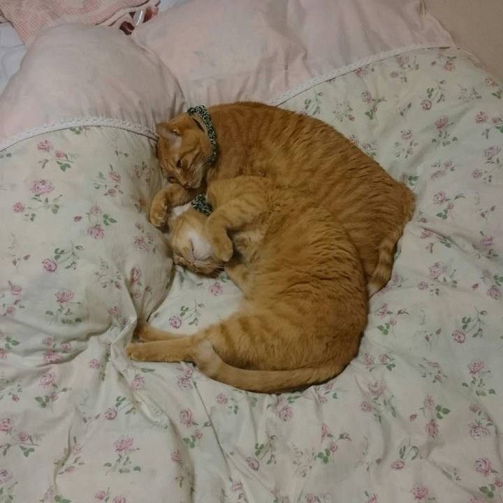 B7c9c657 9c0f 4e20 a893 96f8d64a9104