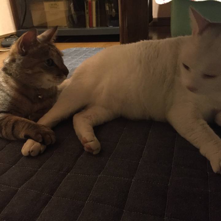 B7c9f6a6 aa19 4282 9a6e 62442ec74991