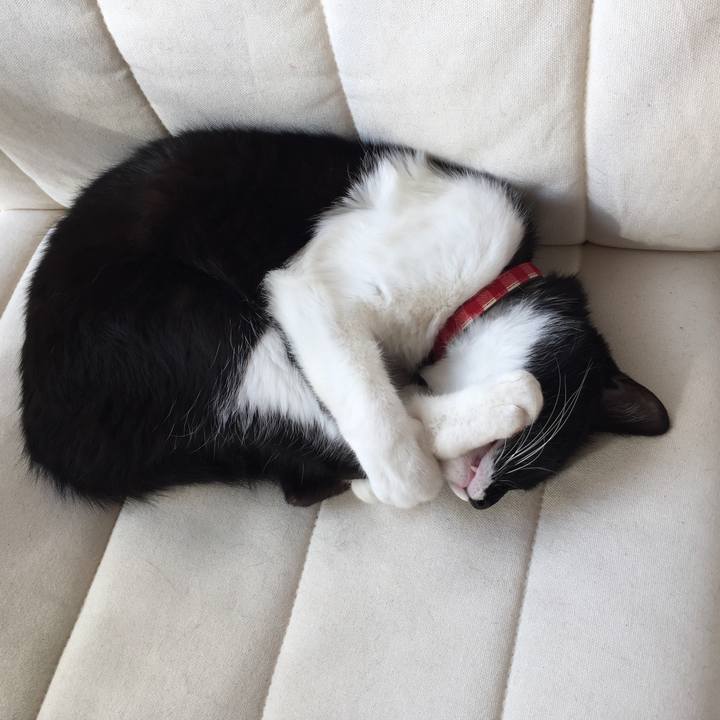 B7ca45a7 3b98 4f30 8113 998fd202c591