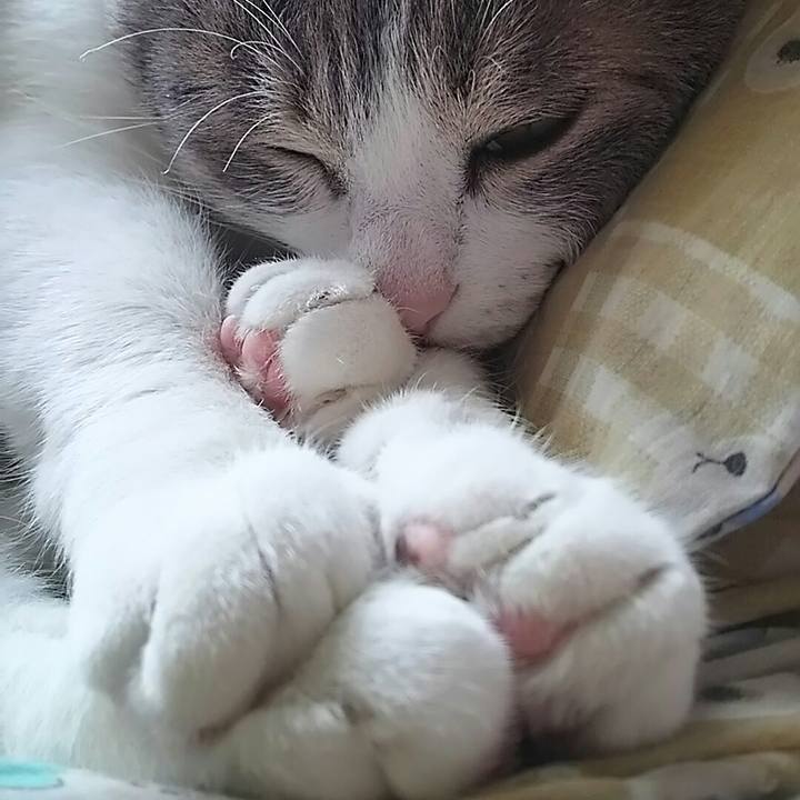 B7ca9058 8c7b 4e5e b219 cb405ed0b3a8