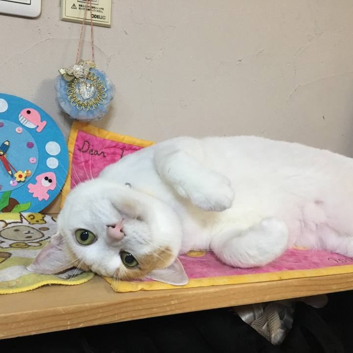 B7caad18 6d76 4234 8dae 36b14a5af077