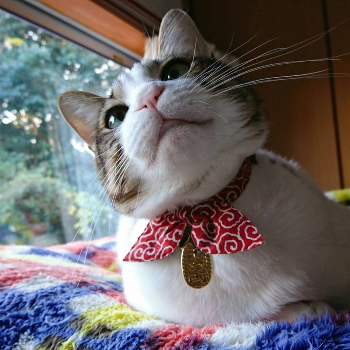 B7caf653 8cfd 4cac 96f7 5cde5eb6d6fc