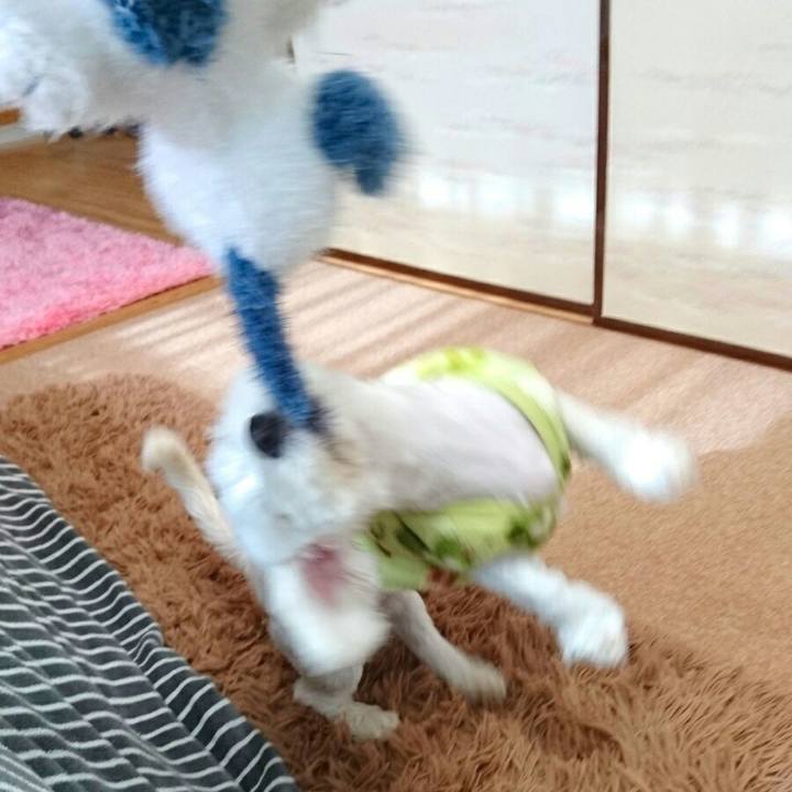 B7cbabe7 59b7 4d01 bcc0 807333281f4c