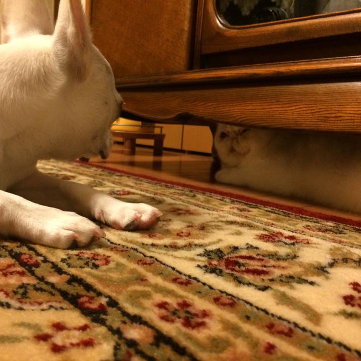 B7cbc5ee 65b2 4877 8cdb 70af0de6458e