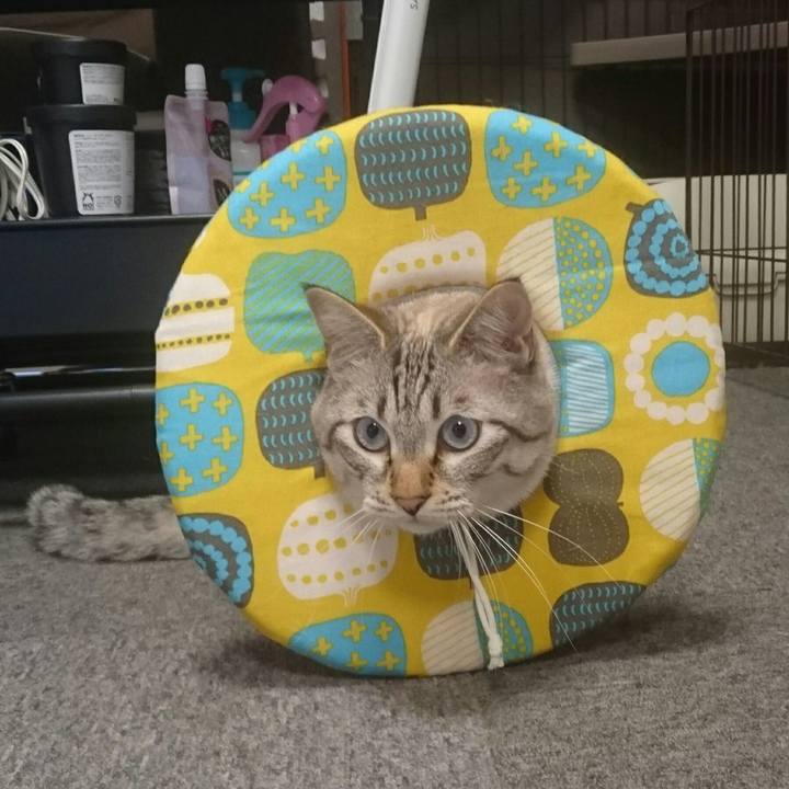 B7cbe27e 7a28 404d bf11 ef6c8eb097d7