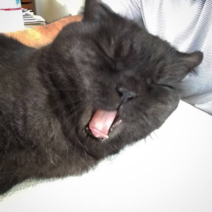 B7cbfa33 e042 4833 b05d fbab96889eb6