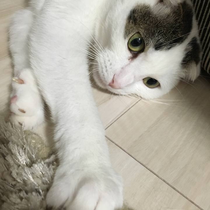 B7cc575c c9a6 4910 8fac bb2ac0b62633