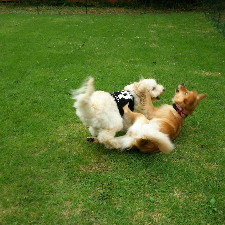 B7cc6ba6 34af 4f3c 944c 8f8bdf39c499