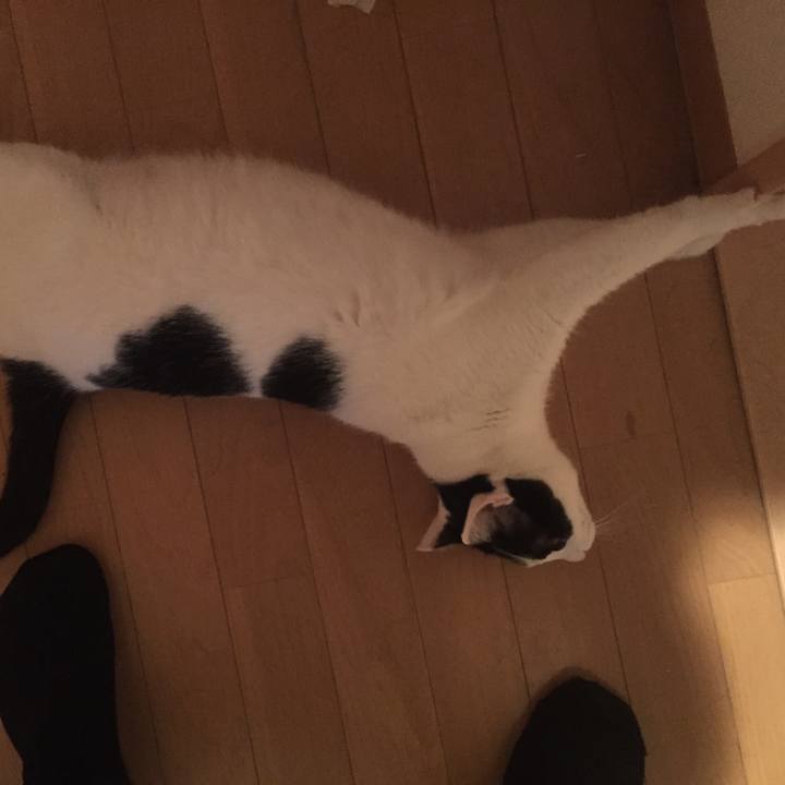 B7ced031 6641 45da 8e84 5e750377fbd7