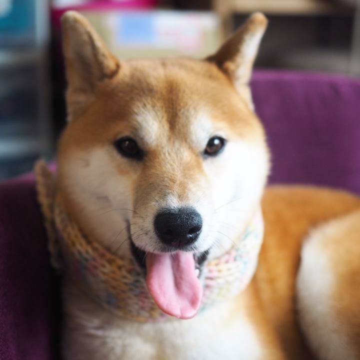 B7cf0fb1 618b 4626 9533 dc1bb5dd9fd2