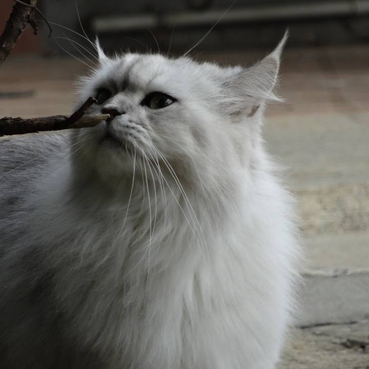 B7cf3dd8 041a 4a46 b723 fb74395c33ad