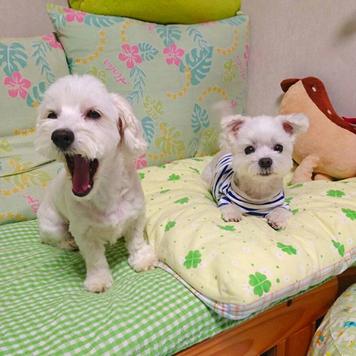 B7cfc5f8 344d 4e51 88b0 dc15175af7e4