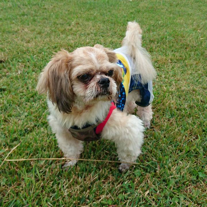 B7d025d9 c756 4637 8dcc 0c1dc7affbd8