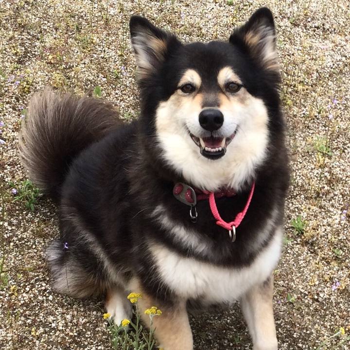 B7d0dcb2 040e 4f6c 84db e79c60626e1a