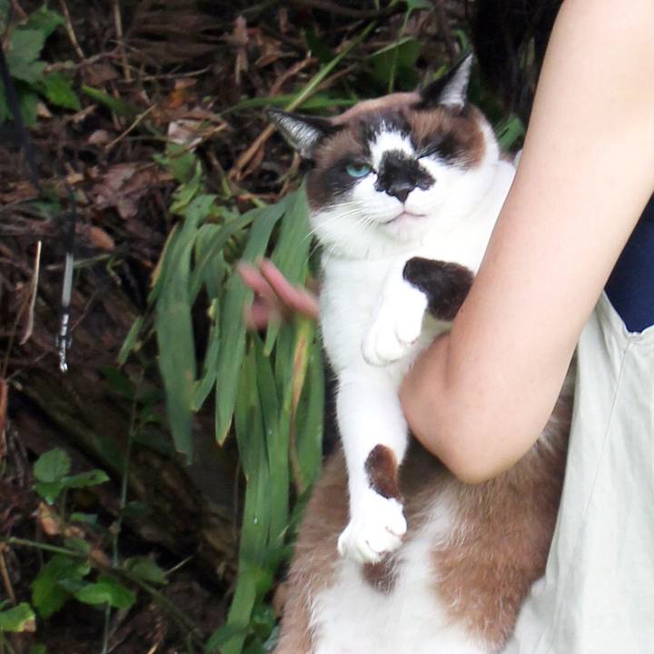 B7d134b5 e3af 4d8b aaaf a5b0171abc9d