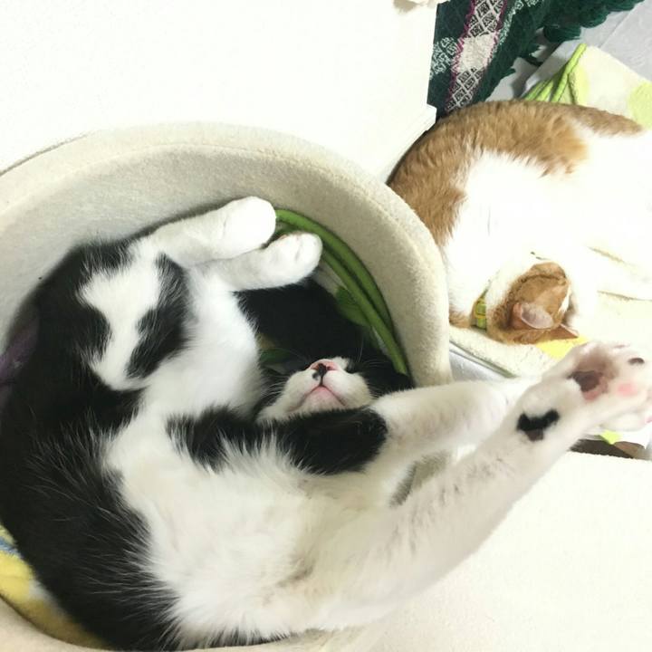 B7d1f152 cb20 4bc2 bc1d 366032c16e65