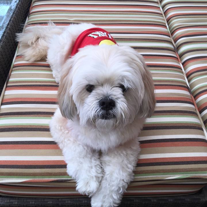 B7d224bd 2404 44eb 9de0 6d4f881dfc0d