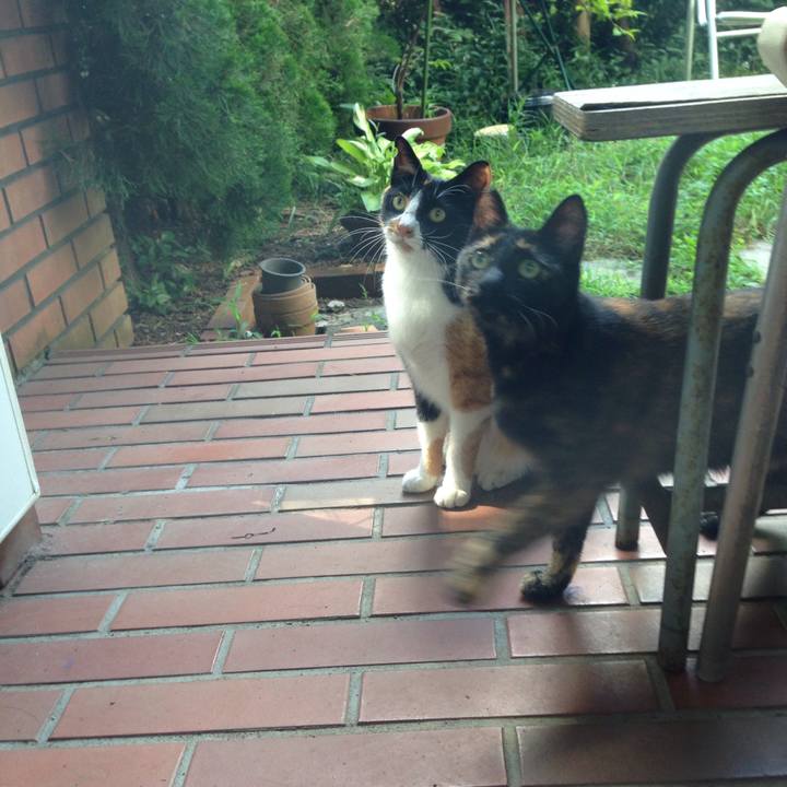 B7d26a77 2012 457c ba6c 266835a927f8