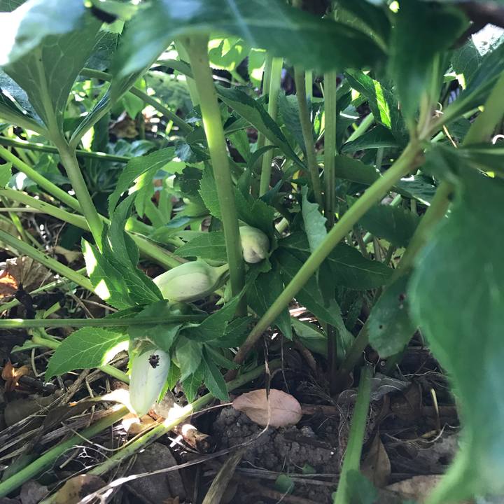 B7d27ecf 943a 4809 985d 598cd97a9d60