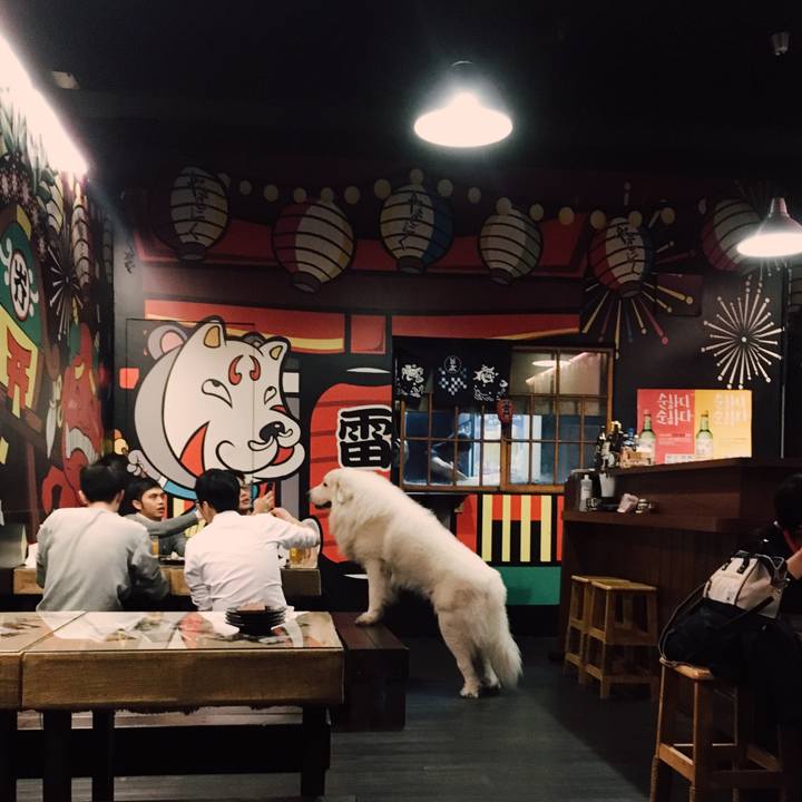 B7d39d44 f5c0 4d10 90ac 1367a2bc932c