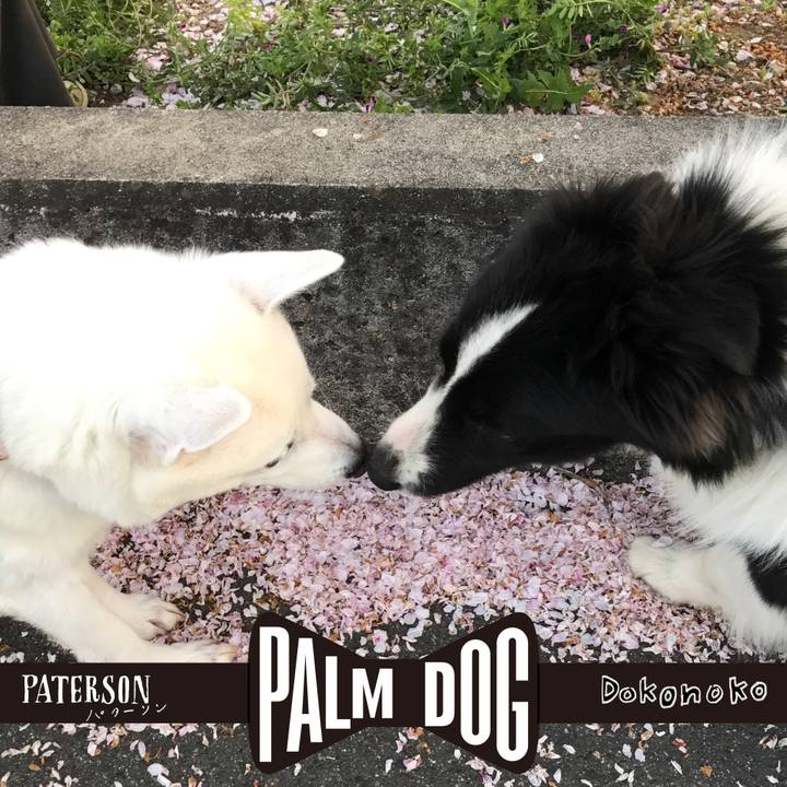 B7d42aee f561 4b5c a26b 1c4d77dcd81a