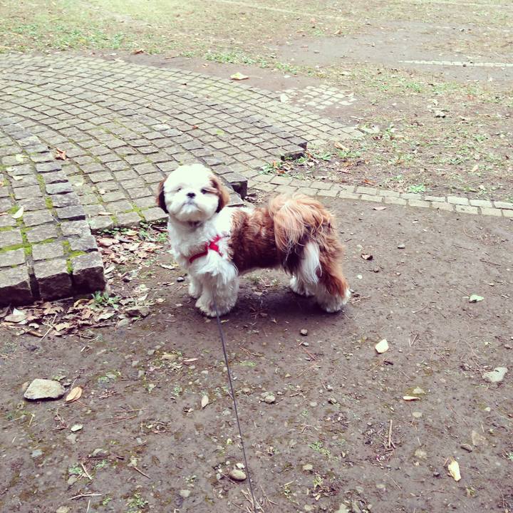 B7d44fa3 45e9 4691 934b ec105c8f26f8