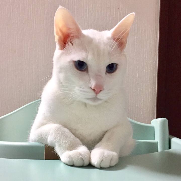 B7d4b6f9 e7e7 4073 98c0 ec523b4601f7