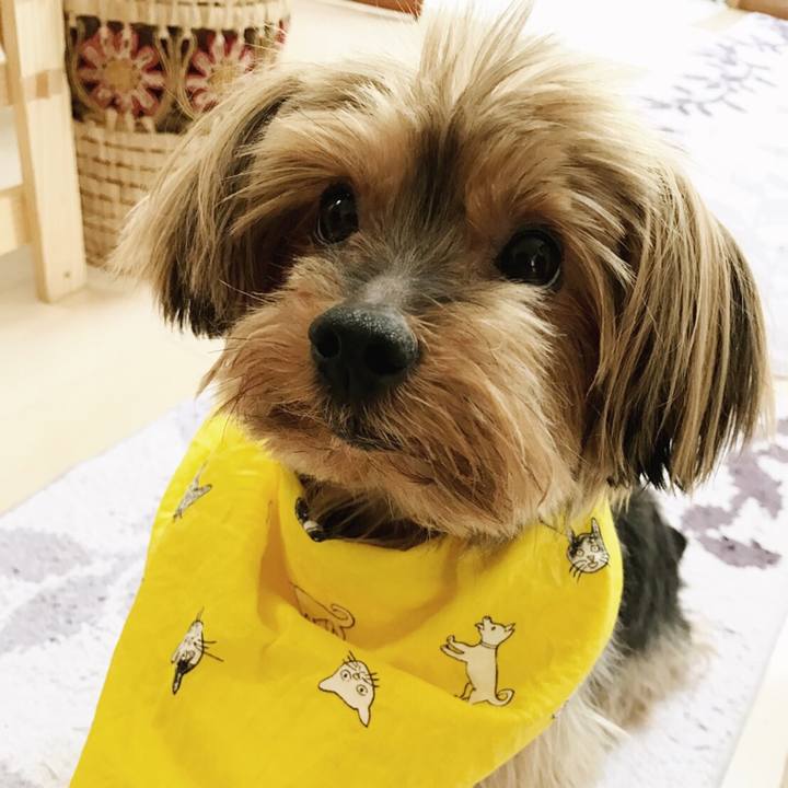 B7d4fe3a 11f1 4d4c 8ba7 b040e5b28441