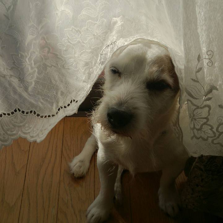 B7d57657 5485 4502 a146 9521a23ddffa