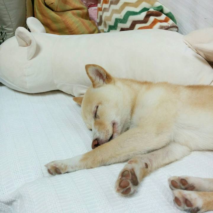 B7d579e8 a4d7 4a8e a8f5 ae9842237d10