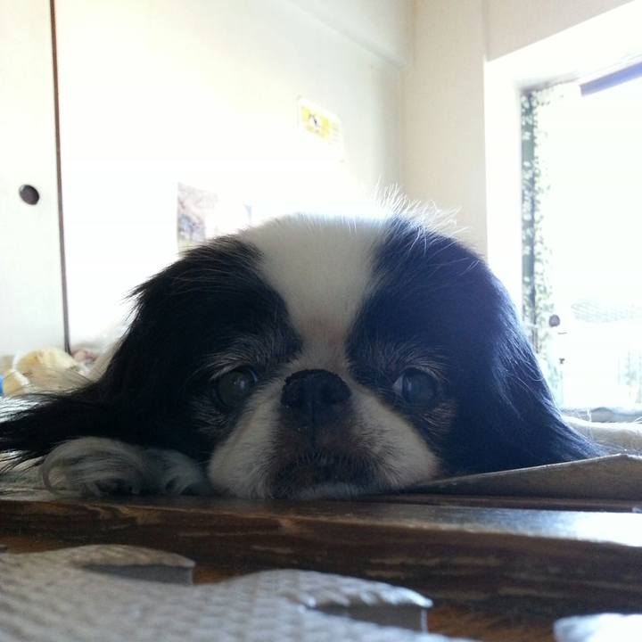 B7d58797 d774 49dd 9677 8986269fe683