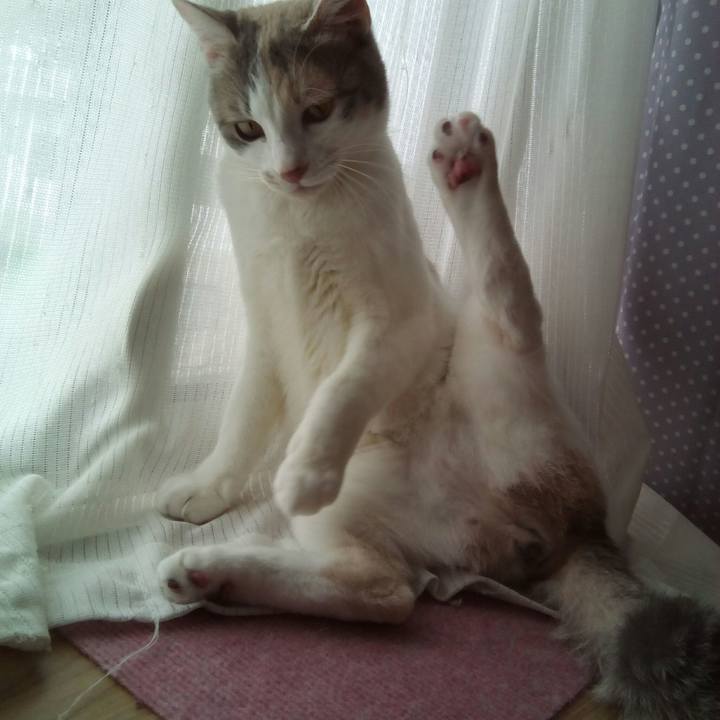 B7d5a616 b0fa 4f8a 8e41 fe7f6a769302