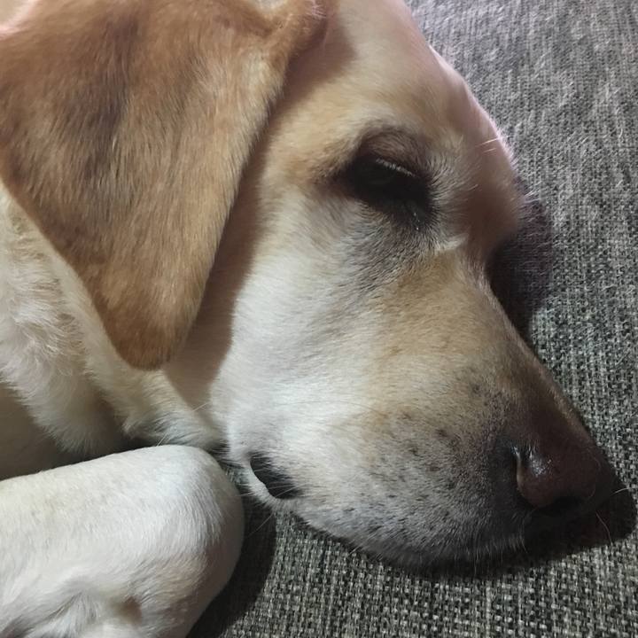 B7d5d052 592f 4a42 b5dd e7c94e15bc45