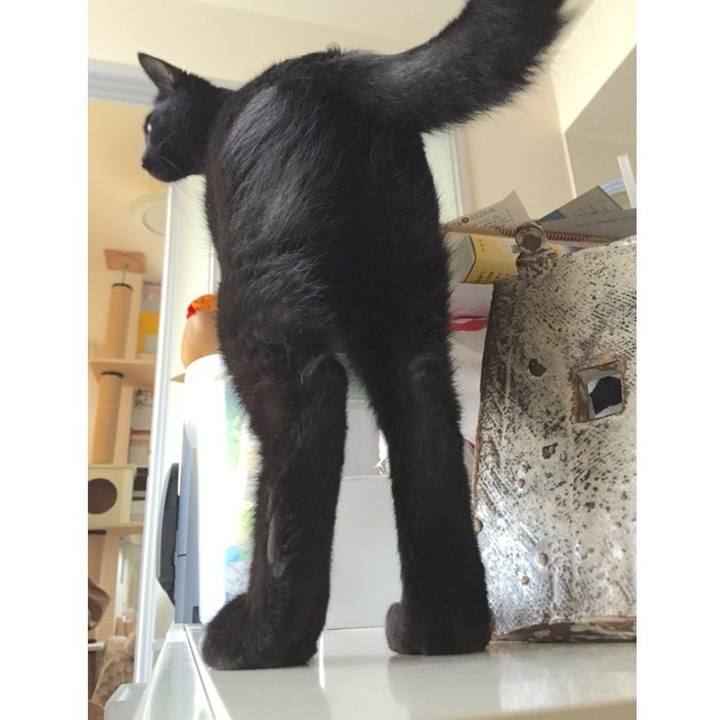 B7d5d2ef b832 4a0b 8b72 41b45ebc0e0c