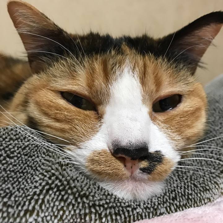 B7d65d47 4af3 48a3 8c5d c832b2cdf682