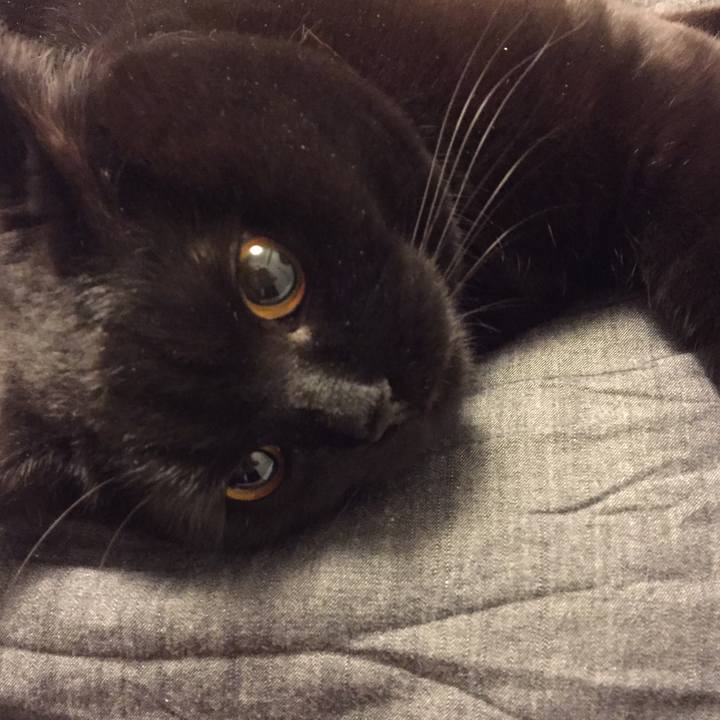 B7d6a71c 6d07 496e 8eca 609e8d55a543