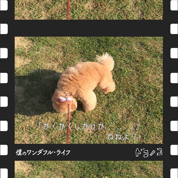 B7d853ca 594b 4c35 bda6 e4fc32947b10