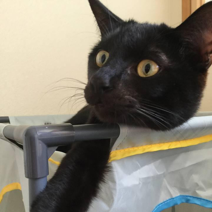 B7d99107 17bc 4c65 ae9e 6b30e3688332