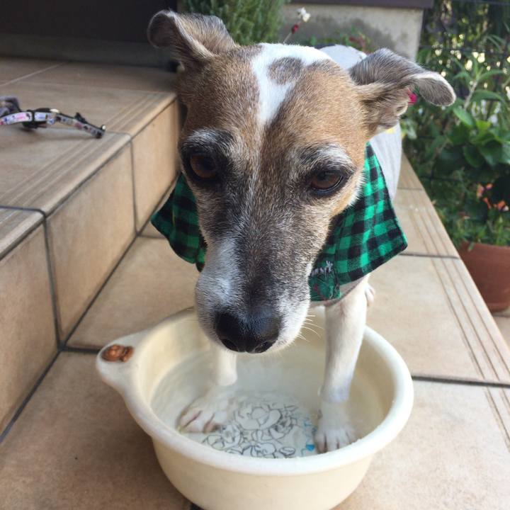 B7daf0dc 3464 4d80 8509 e5cff2939eb7