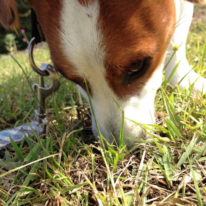 B7daf829 41d6 4312 bfa7 49ab78f7cef1