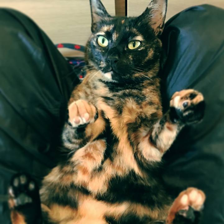 B7db264b d2de 4af4 a850 020b3c46878c