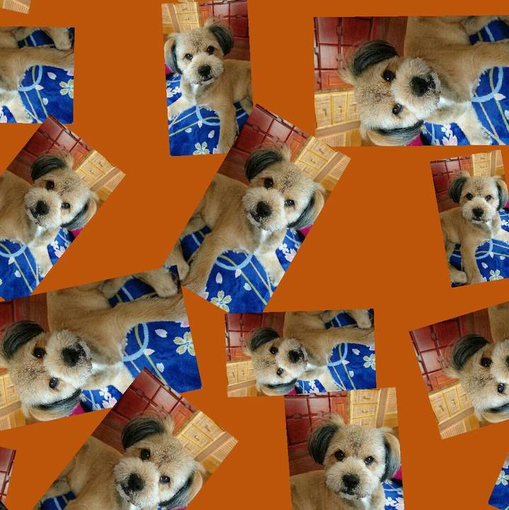 B7dbd03f d039 4bdc a3c3 bcc92ccc0fc0