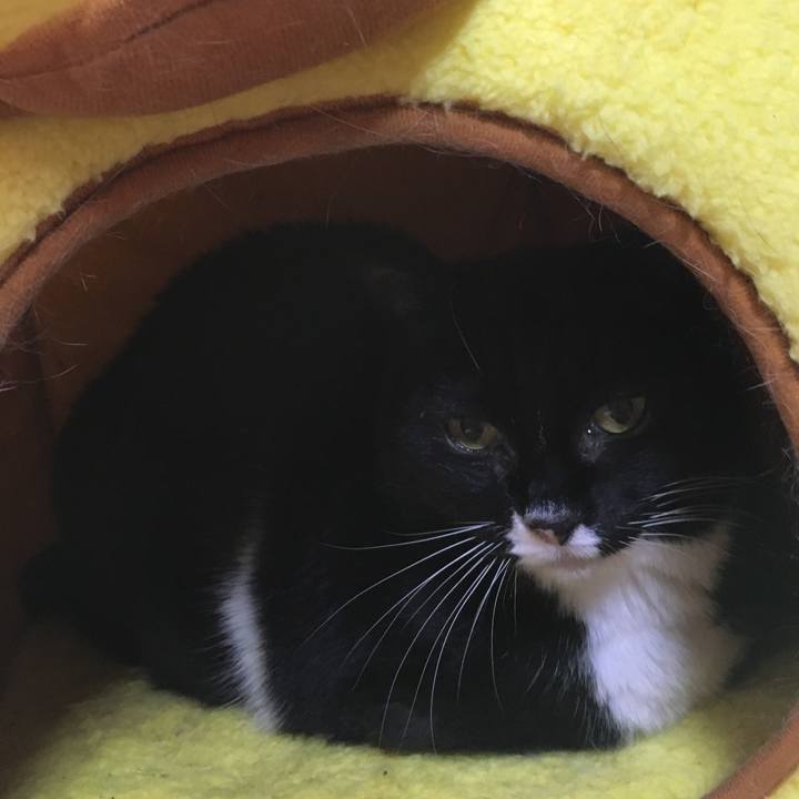 B7dbf2b0 c81a 4527 8115 701c9ecee460