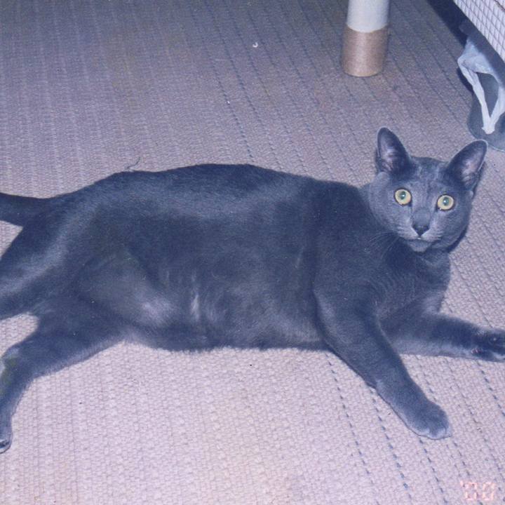 B7dc0064 e748 46fd 890b 1b46e8eec56b