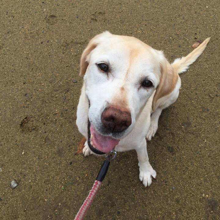 B7dc5a06 0712 4788 a0db 4db80aa0a075