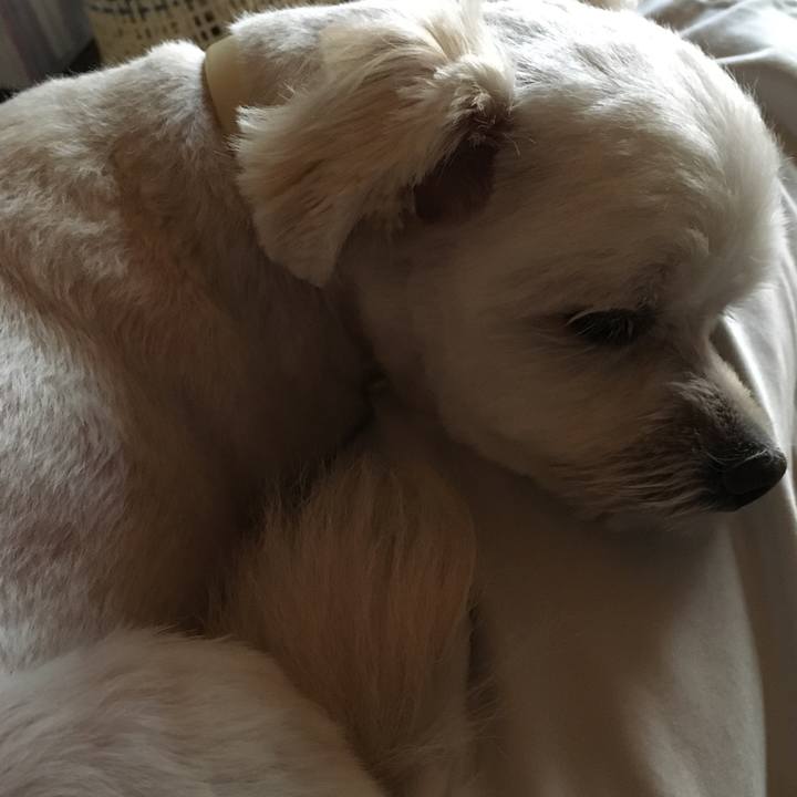 B7dc9c48 9867 4229 9b84 168c25c0f1dc