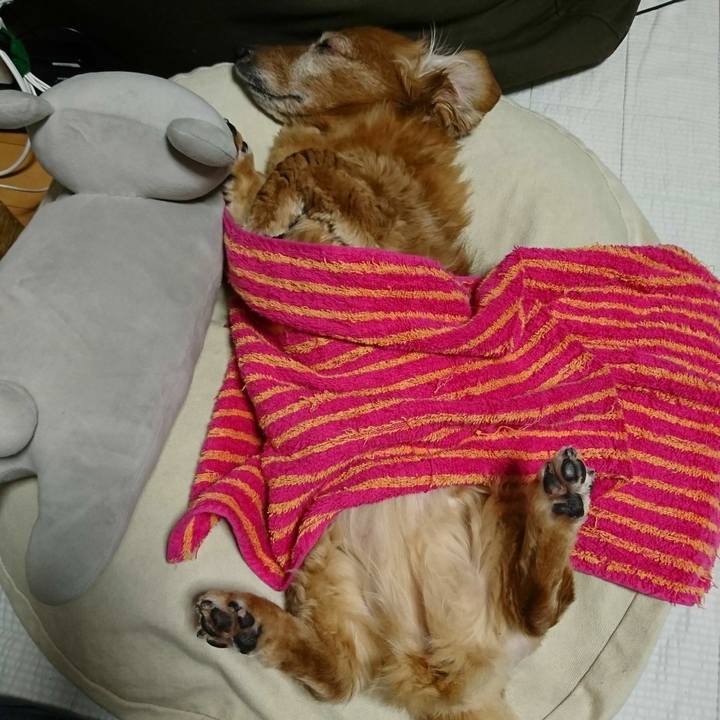 B7dcbd3e 1408 474c b115 00acc6ea0bae