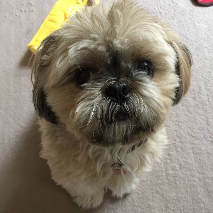 B7dd9eb8 3713 4dc3 b7a8 b4accfdefe3d