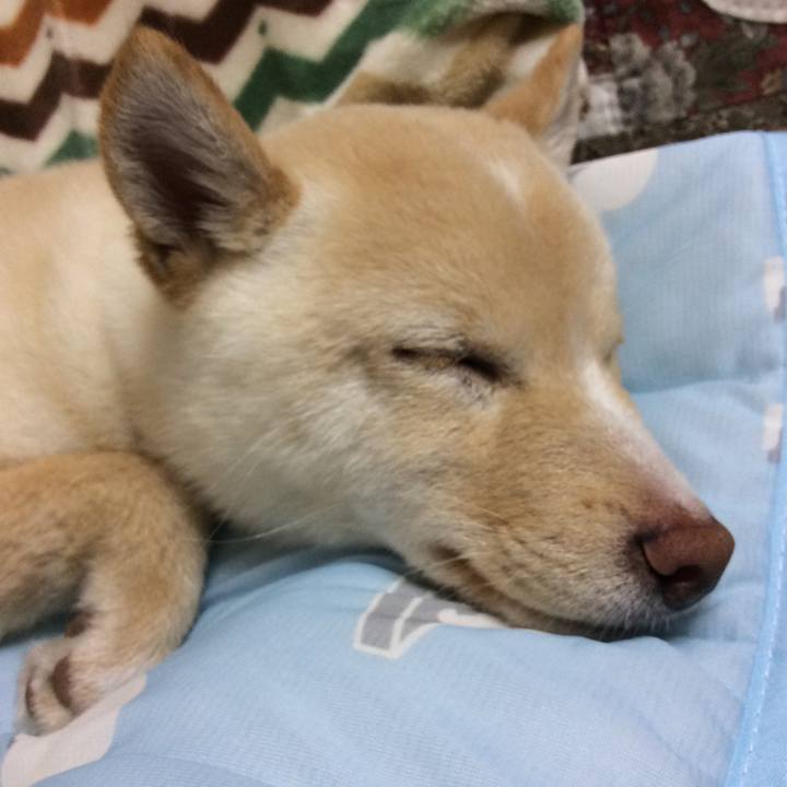 B7ddf203 9051 4319 a4e7 1ad3afbcb653